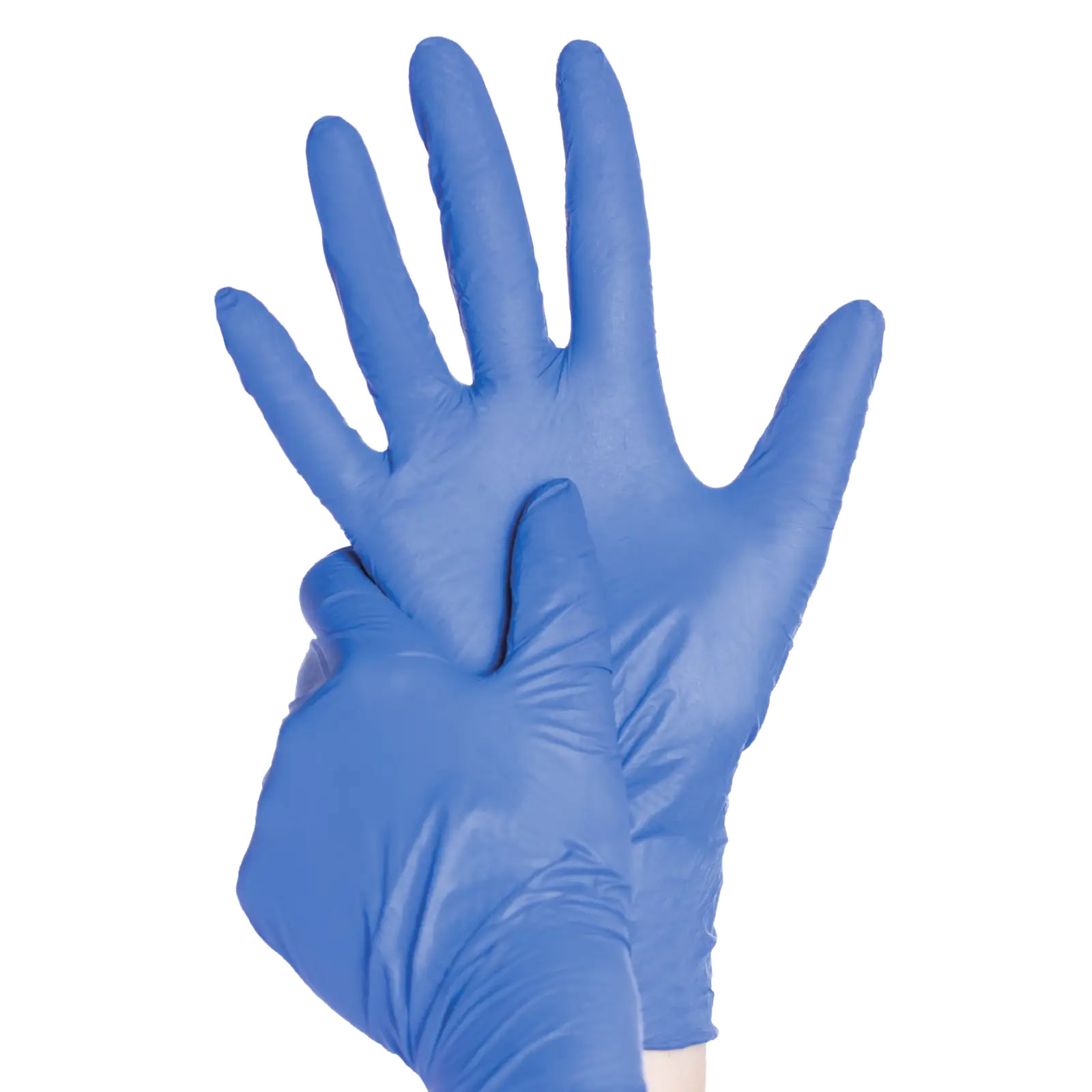 AMPri Blue Basic Plus Nitril Handschuh Blau XL - 200 Stück
