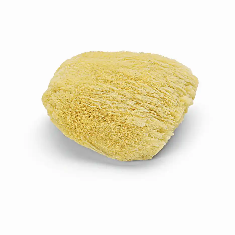 Naturschwamm Naturschwamm