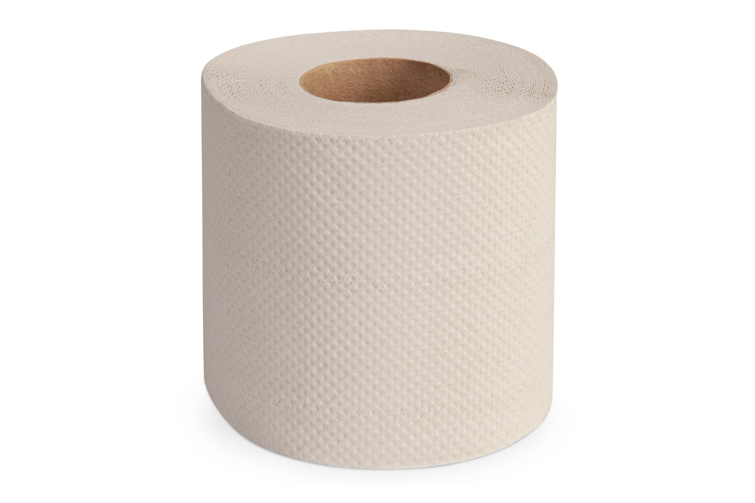 Toilettenpapier Kleinrolle, 2-lagig, 250 Blatt - Recycling