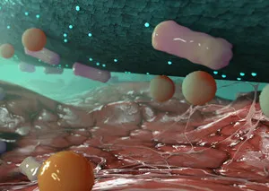 Cutimed Sorbact, Saugkomp.,antimikrobielle