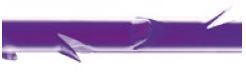 Quill PDO violett Nahtmaterial, HR36, USP 0