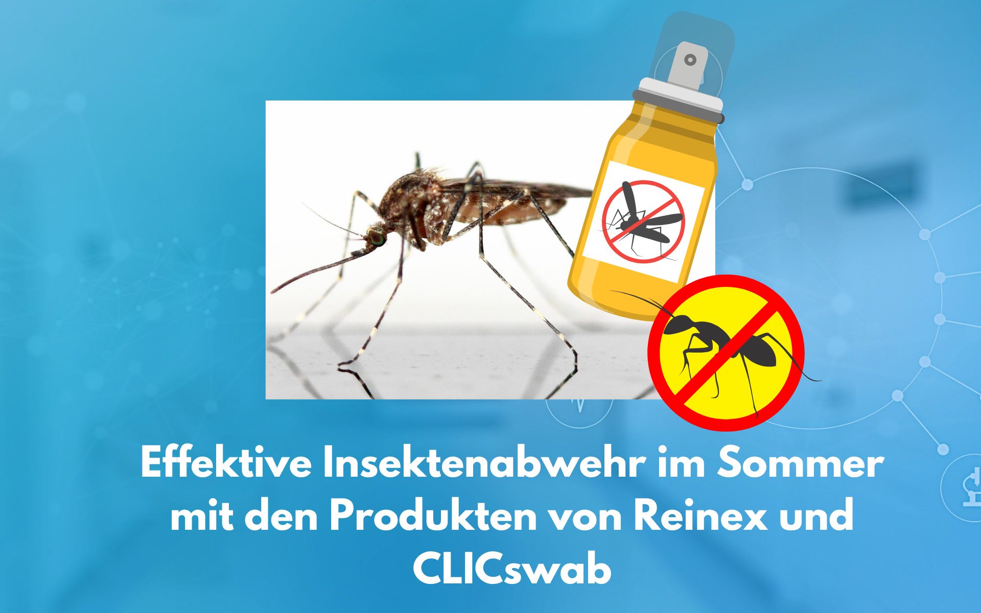 Insektenabwehr im Sommer- Effektiver Schutz mit den Produkten von Reinex und CLICswab