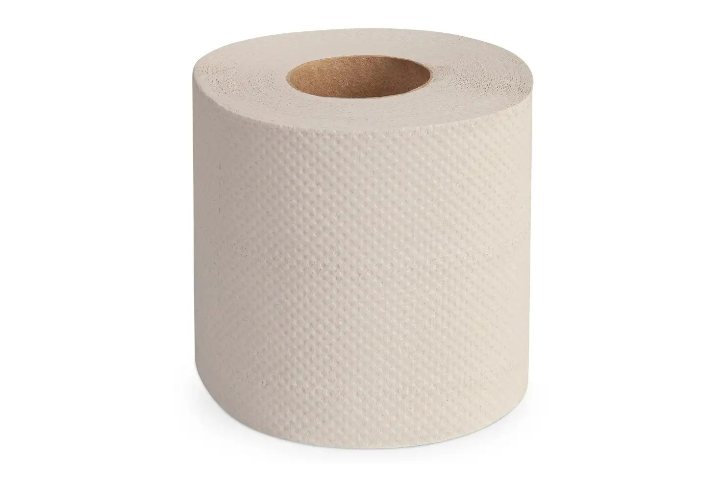 Toilettenpapier Kleinrolle 2-lagig, 8x8 Rollen- 250 Blatt - Recycling